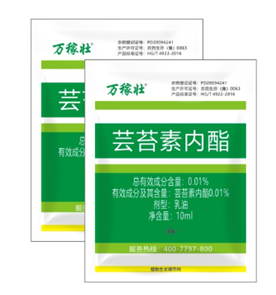 暴雨過后，玉米急需這樣補救！(圖2)